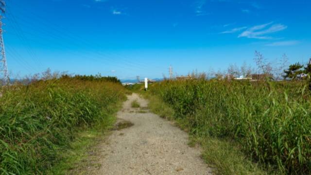 五六閘門（牛牧閘門）　右岸